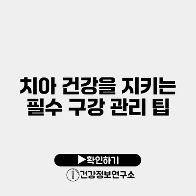 치아 건강을 지키는 필수 구강 관리 팁