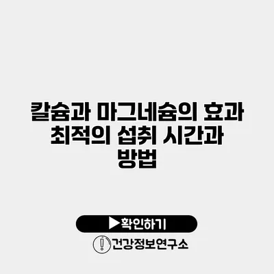 칼슘과 마그네슘의 효과 최적의 섭취 시간과 방법