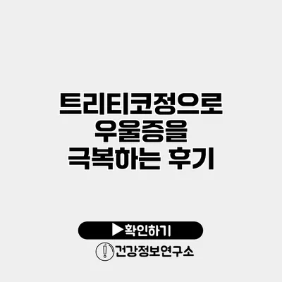 트리티코정으로 우울증을 극복하는 후기