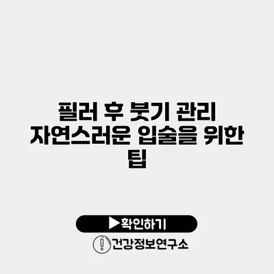 필러 후 붓기 관리 자연스러운 입술을 위한 팁