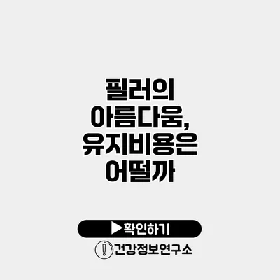 필러의 아름다움, 유지비용은 어떨까?