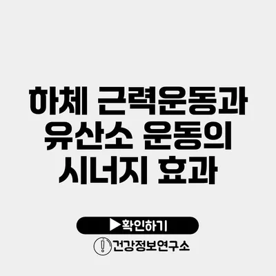 하체 근력운동과 유산소 운동의 시너지 효과