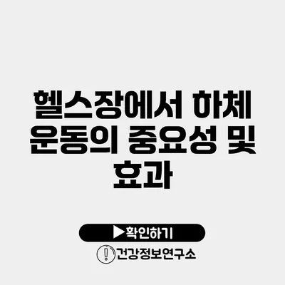 헬스장에서 하체 운동의 중요성 및 효과