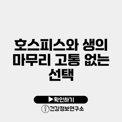 호스피스와 생의 마무리 고통 없는 선택