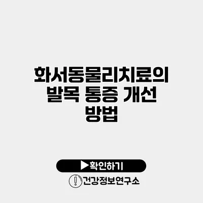 화서동물리치료의 발목 통증 개선 방법