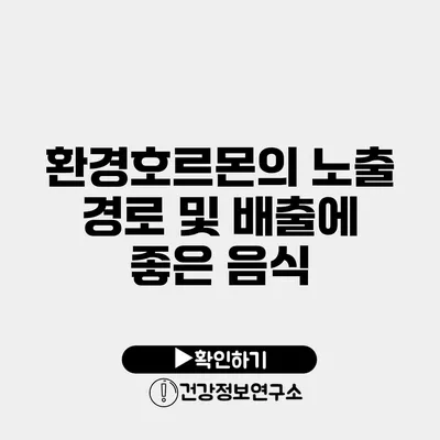 환경호르몬의 노출 경로 및 배출에 좋은 음식