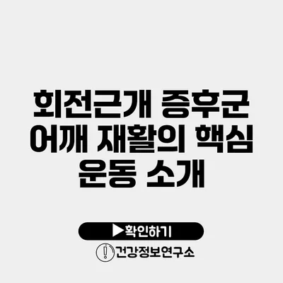 회전근개 증후군 어깨 재활의 핵심 운동 소개