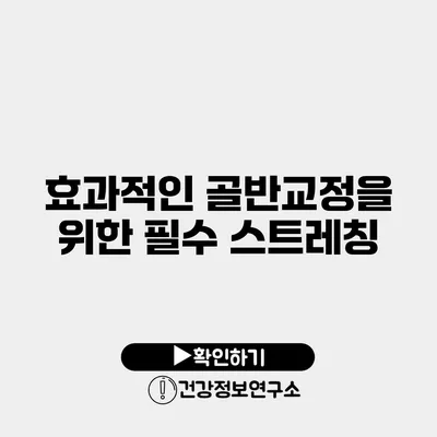 효과적인 골반교정을 위한 필수 스트레칭