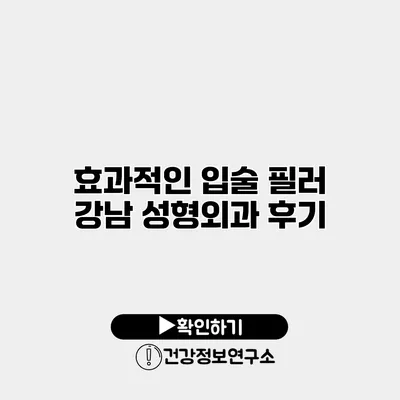 효과적인 입술 필러 강남 성형외과 후기