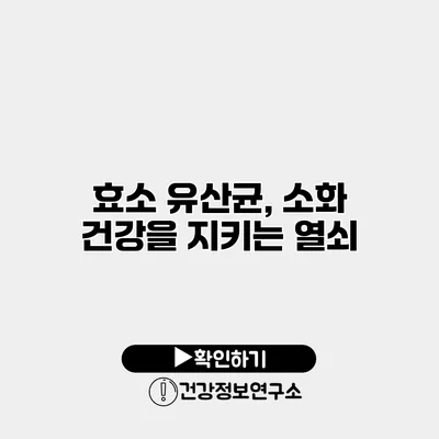 효소 유산균, 소화 건강을 지키는 열쇠