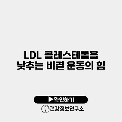 LDL 콜레스테롤을 낮추는 비결 운동의 힘