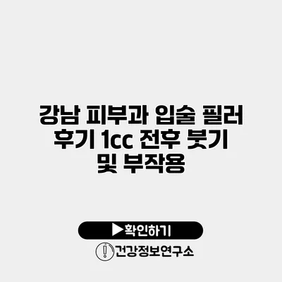 강남 피부과 입술 필러 후기 1cc 전후 붓기 및 부작용