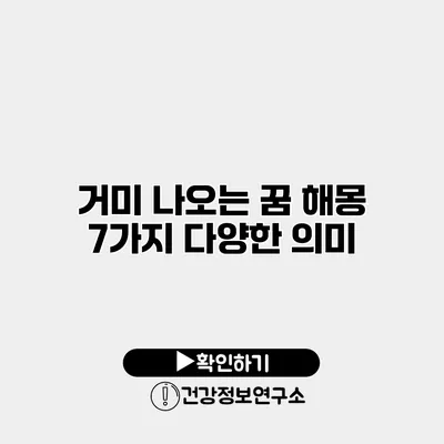 거미 나오는 꿈 해몽 7가지 다양한 의미