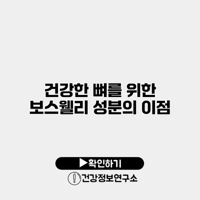 건강한 뼈를 위한 보스웰리 성분의 이점