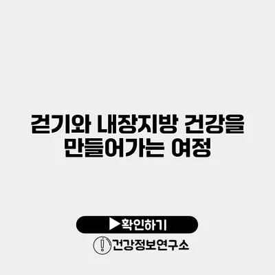 걷기와 내장지방 건강을 만들어가는 여정