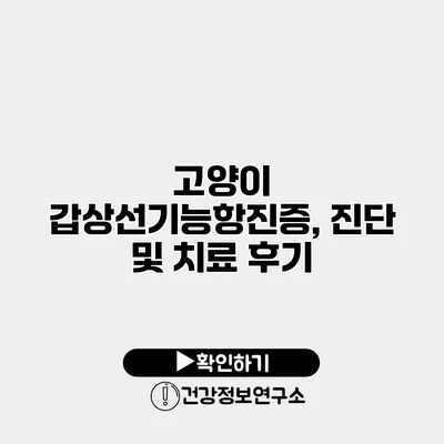 고양이 갑상선기능항진증, 진단 및 치료 후기