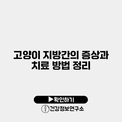 고양이 지방간의 증상과 치료 방법 정리