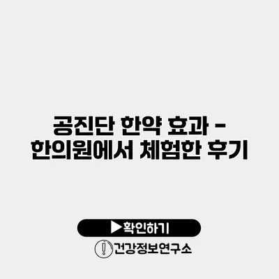 공진단 한약 효과 - 한의원에서 체험한 후기