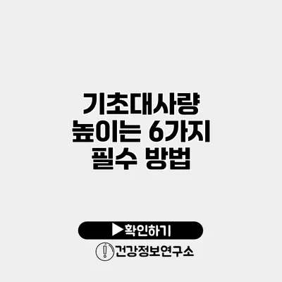 기초대사량 높이는 6가지 필수 방법