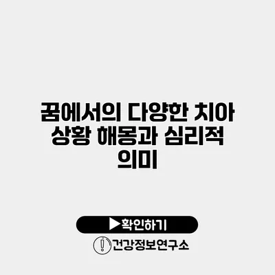 꿈에서의 다양한 치아 상황 해몽과 심리적 의미