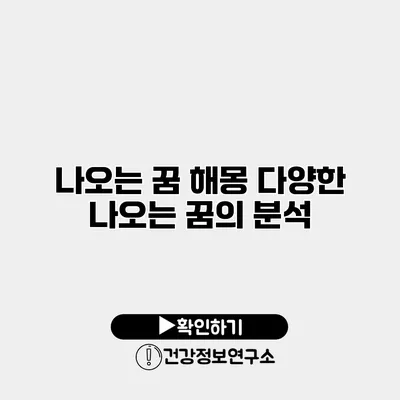 나오는 꿈 해몽 다양한 나오는 꿈의 분석