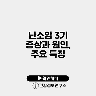 난소암 3기 증상과 원인, 주요 특징