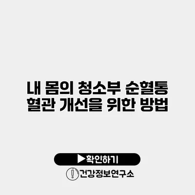 내 몸의 청소부 순혈통 혈관 개선을 위한 방법