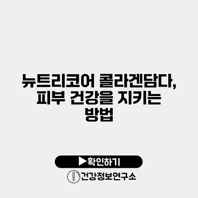 뉴트리코어 콜라겐담다, 피부 건강을 지키는 방법