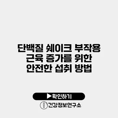 단백질 쉐이크 부작용 근육 증가를 위한 안전한 섭취 방법