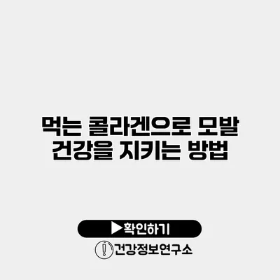 먹는 콜라겐으로 모발 건강을 지키는 방법