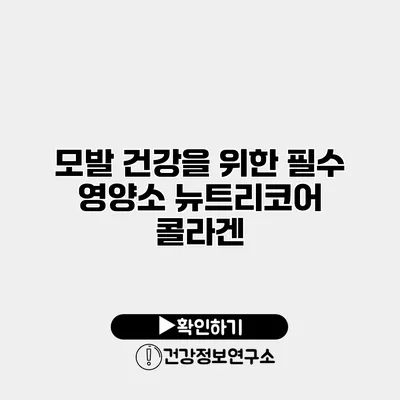 모발 건강을 위한 필수 영양소 뉴트리코어 콜라겐