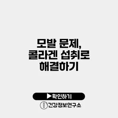 모발 문제, 콜라겐 섭취로 해결하기