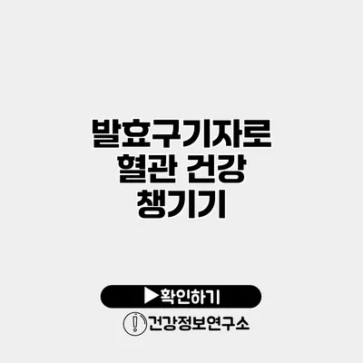 발효구기자로 혈관 건강 챙기기