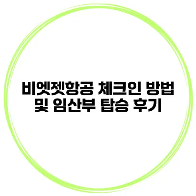 비엣젯항공 체크인 방법 및 임산부 탑승 후기
