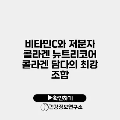 비타민C와 저분자 콜라겐 뉴트리코어 콜라겐 담다의 최강 조합