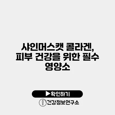 샤인머스캣 콜라겐, 피부 건강을 위한 필수 영양소