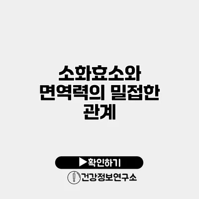 소화효소와 면역력의 밀접한 관계