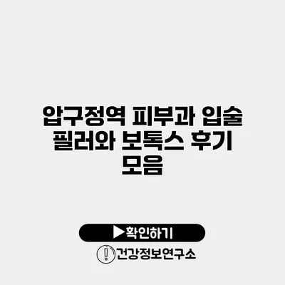 압구정역 피부과 입술 필러와 보톡스 후기 모음