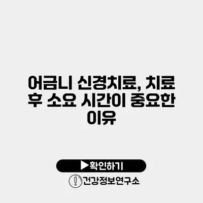 어금니 신경치료, 치료 후 소요 시간이 중요한 이유