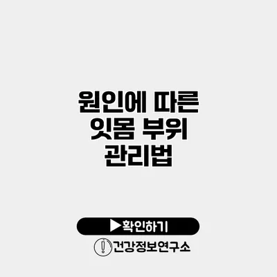 원인에 따른 잇몸 부위 관리법