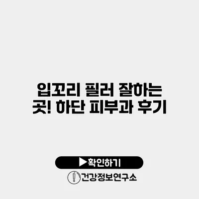 입꼬리 필러 잘하는 곳! 하단 피부과 후기