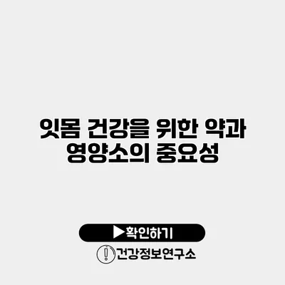 잇몸 건강을 위한 약과 영양소의 중요성