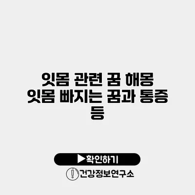 잇몸 관련 꿈 해몽 잇몸 빠지는 꿈과 통증 등