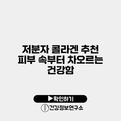 저분자 콜라겐 추천 피부 속부터 차오르는 건강함