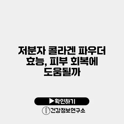 저분자 콜라겐 파우더 효능, 피부 회복에 도움될까?