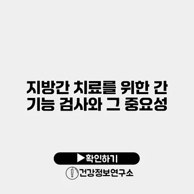 지방간 치료를 위한 간 기능 검사와 그 중요성