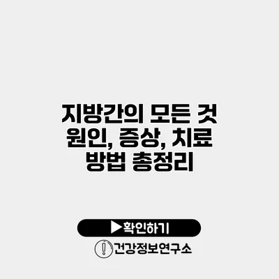 지방간의 모든 것 원인, 증상, 치료 방법 총정리