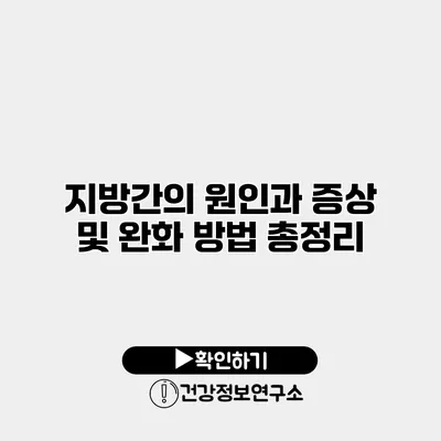 지방간의 원인과 증상 및 완화 방법 총정리