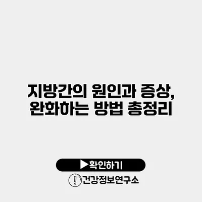 지방간의 원인과 증상, 완화하는 방법 총정리