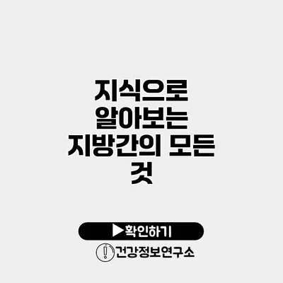 지식으로 알아보는 지방간의 모든 것